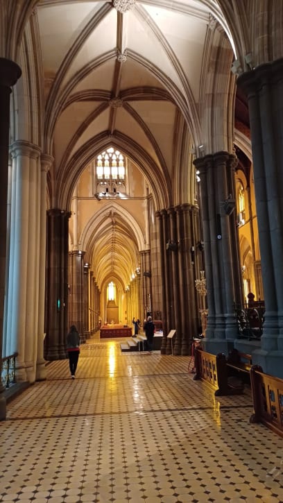 Katolická katedrála