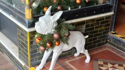 Vánoční výzdoba po australsku