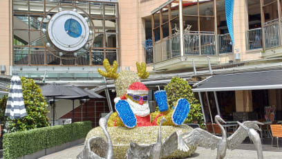 A po cestě jsme viděly tuhle "hrůzu"