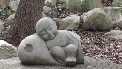 A aby čínská stopa v Sydney nebyla jen o jídle v Chinatown...je v Darlingu nádherná, veliká, čínská zahrada, kde vyzařuje opravdu pozitivní energie ...