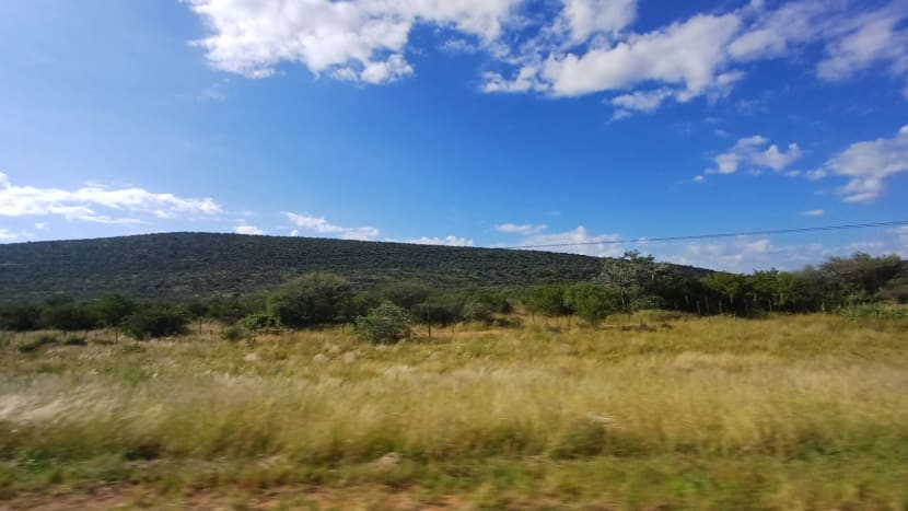 A okolo nás je úplně zeleno!