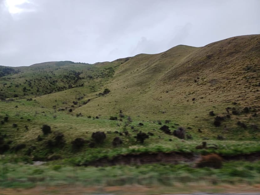 Hodiny a hodiny projíždíme Zélandskými Alpami,stále nové scenérie, teď jsme v kaňonu...