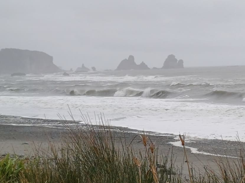 Vyrážíme do mlhy a deště - těžký život cestovatelů, ale stejně je to "must have!"...divoké pobřeží: