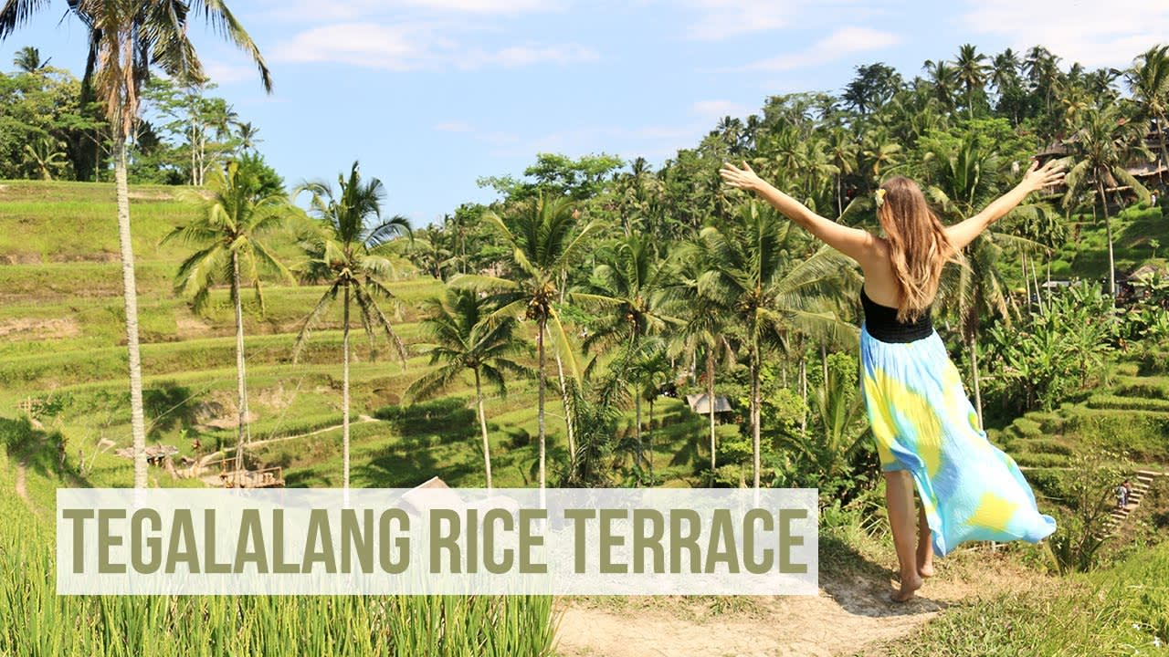 Tegalalang Rice Terrace (Ubud, Bali, Indonesia)