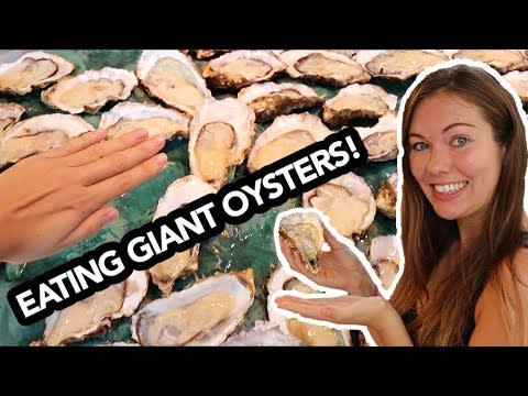 Eating Giant Oysters in Japan!