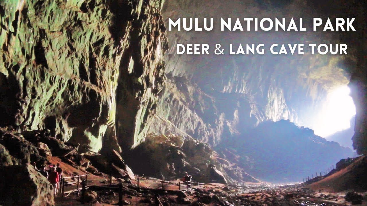 Deer & Lang Cave Tour at Gunung Mulu National Park