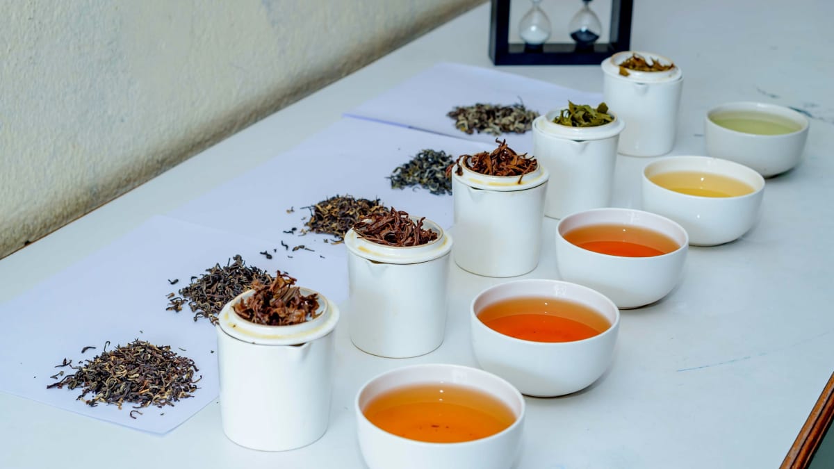 Cups of different loose leaf teas from a tea sampler lined up for tasting