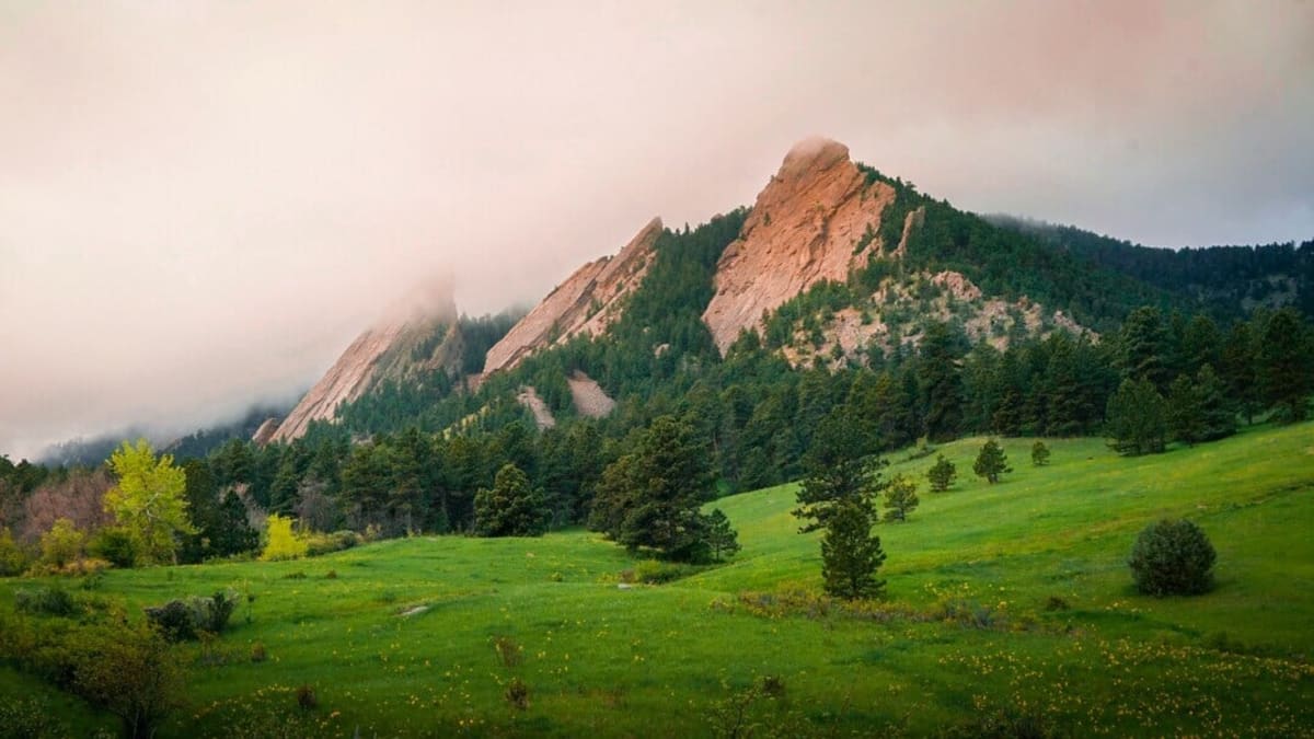 best tea experiences in boulder Colorado 