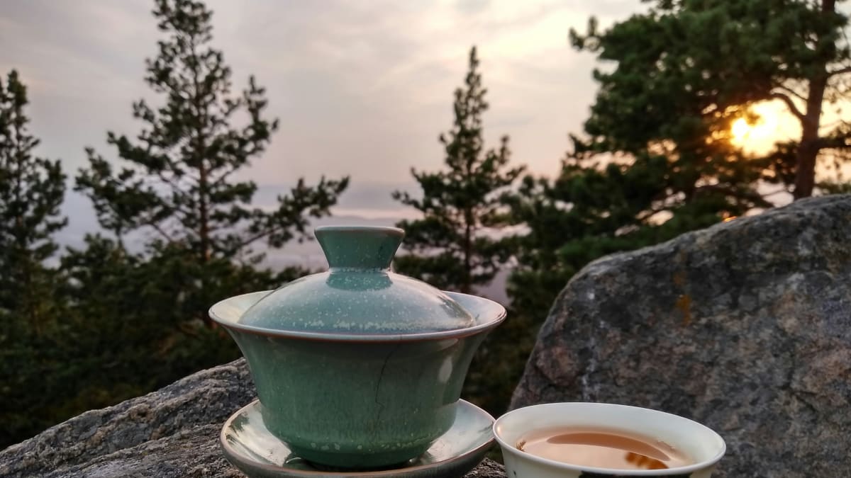 beginner tea set gaiwan instead of yi xing tea pot clay