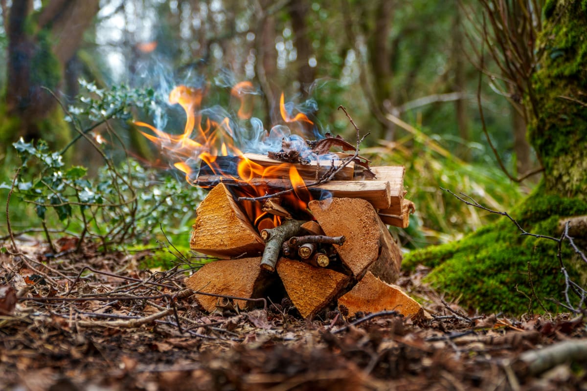 Small twig fire burning in the woods