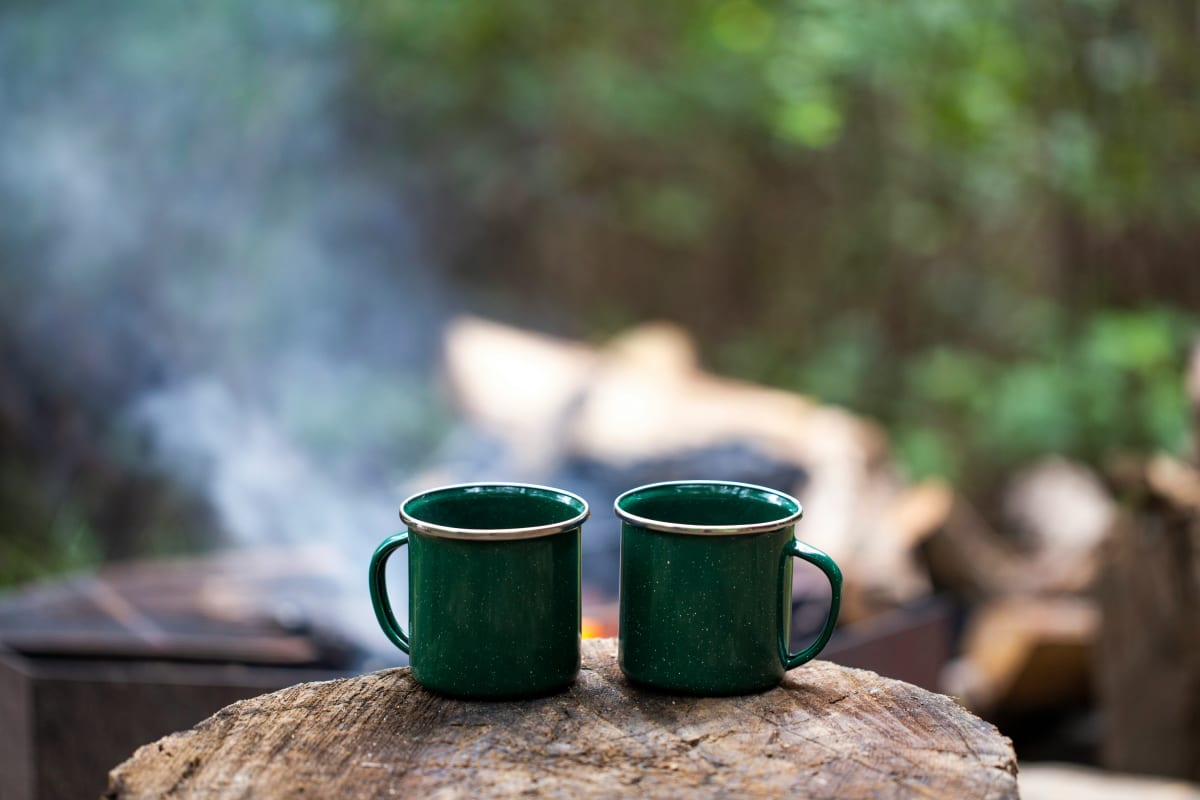 Two camp mugs on a log at a campsite