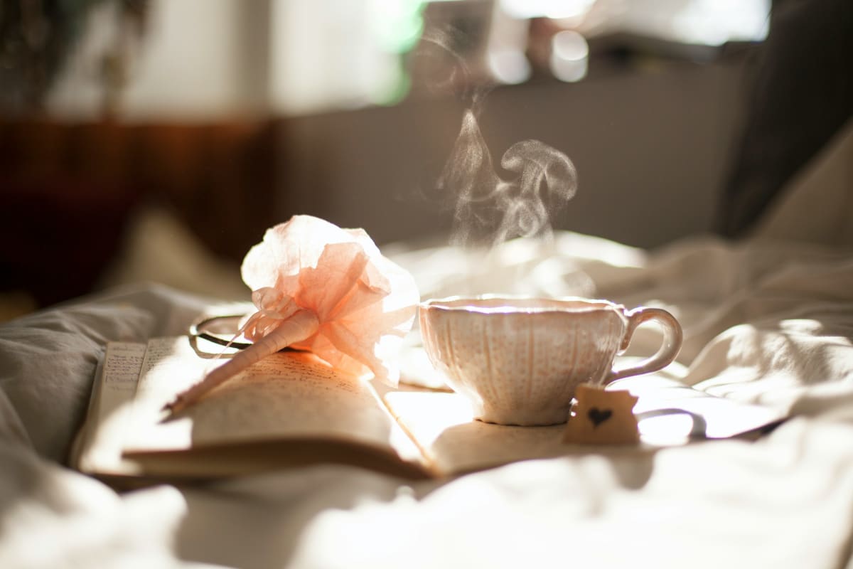 A teacup resting on a book beside pink flowers