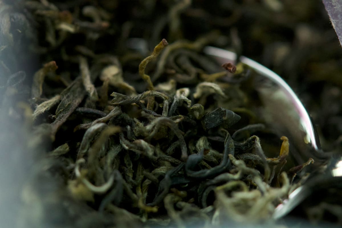 Close-up of dry green tea leaves, which turn bitter in a hot drip coffee maker