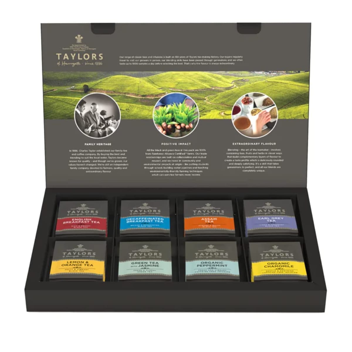 Taylors of Harrogate tea sampler gift box, an easy Christmas gift for tea lovers