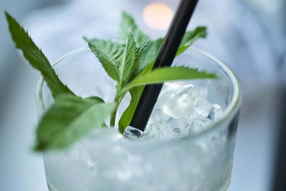 Iced drink in a glass with fresh green herbs