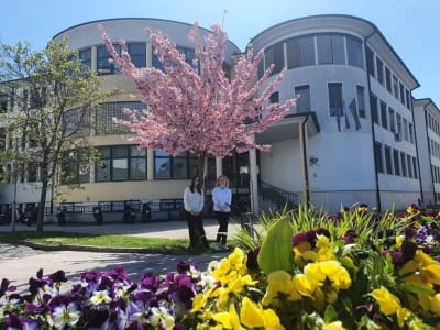 Vir: Strokovni izobraževalni center Alme M. Karlin