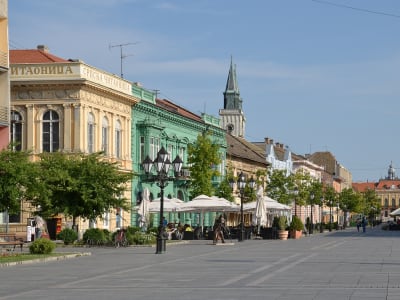 Vir: Pudelek (Marcin Szala) - Lastno delo, CC BY-SA 3.0, Wikipedia