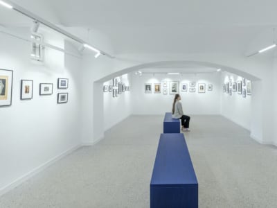 Fotohiša Pelilkan, arhitektura: Zgradbazamisli, Muzej novejše zgodovine Celje, foto: Ana Skobe
