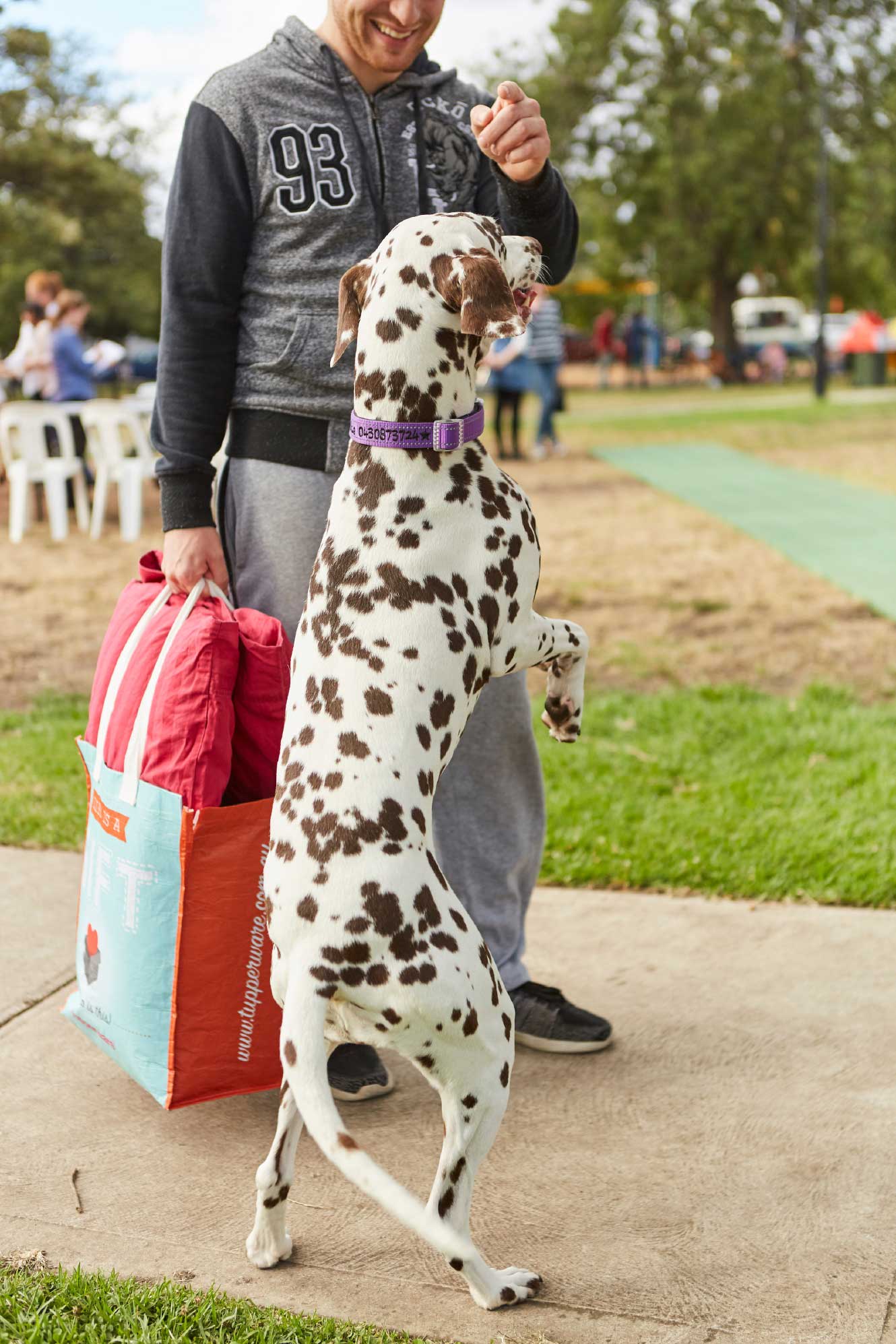 Penders Park Master Plan Photography