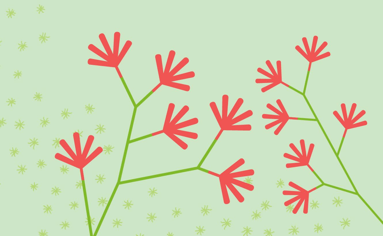 Penders Park Master Plan Illustration