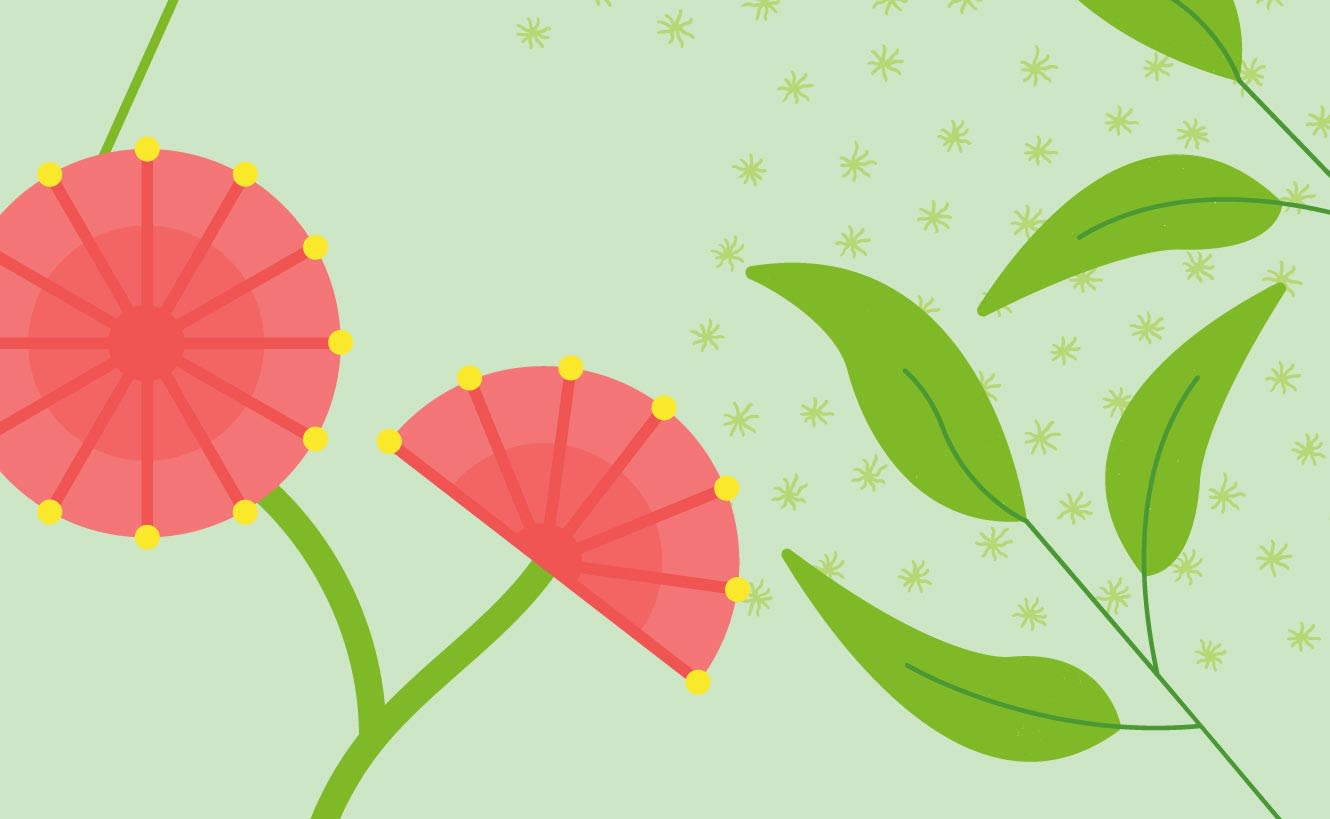 Penders Park Master Plan Illustration