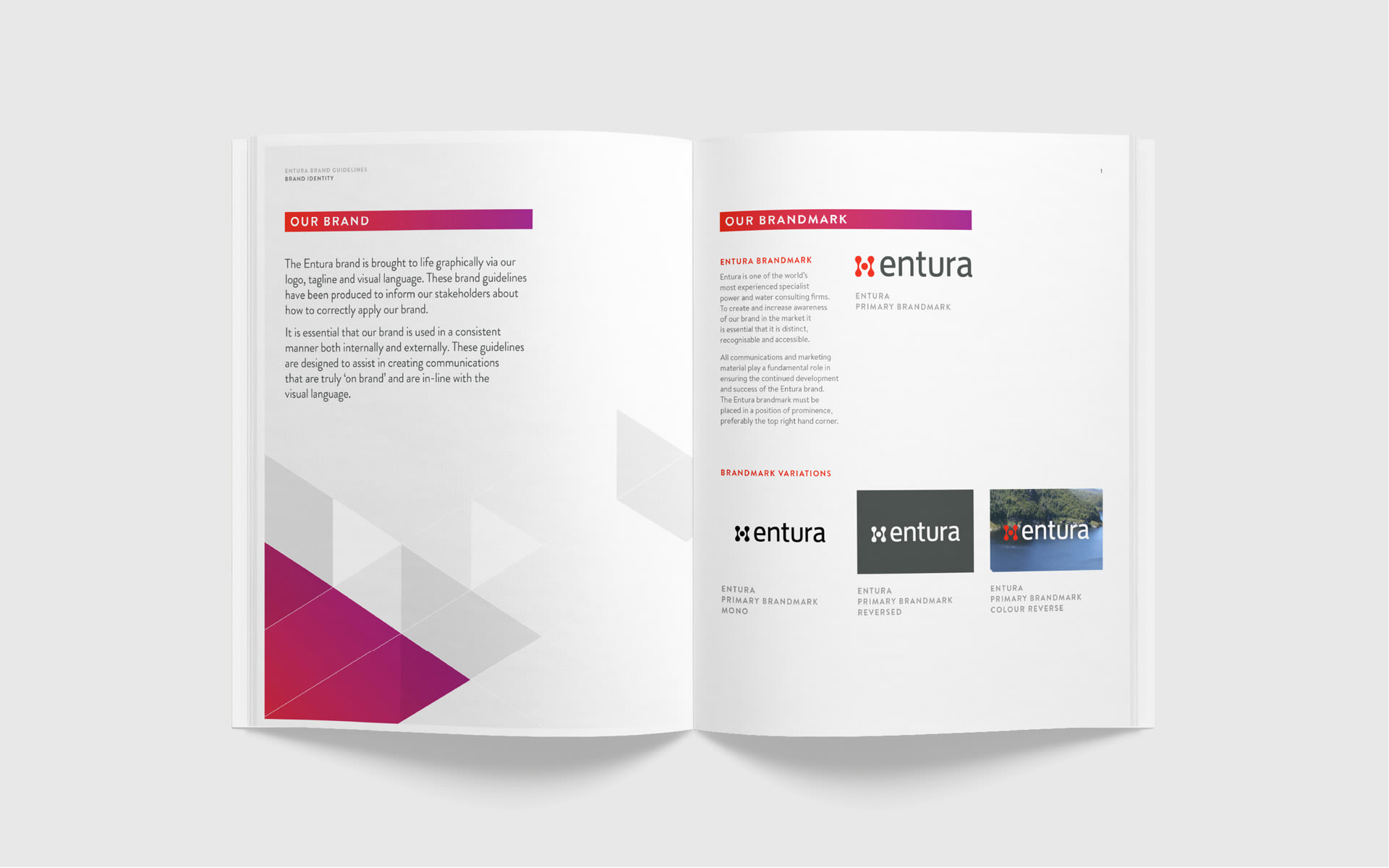 Entura-Style-Guide-Design