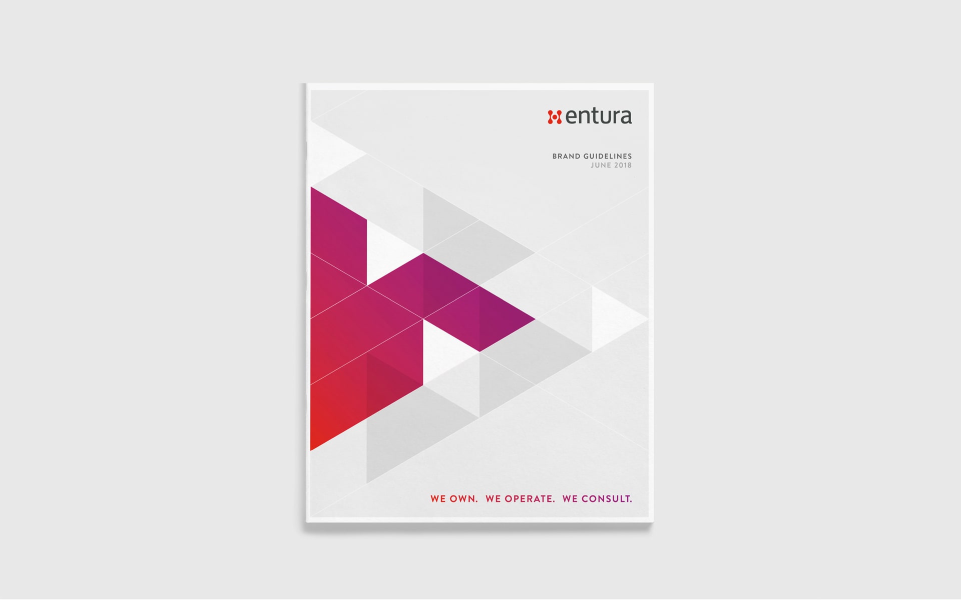 Entura-Brand-Refresh-Brochure-Design