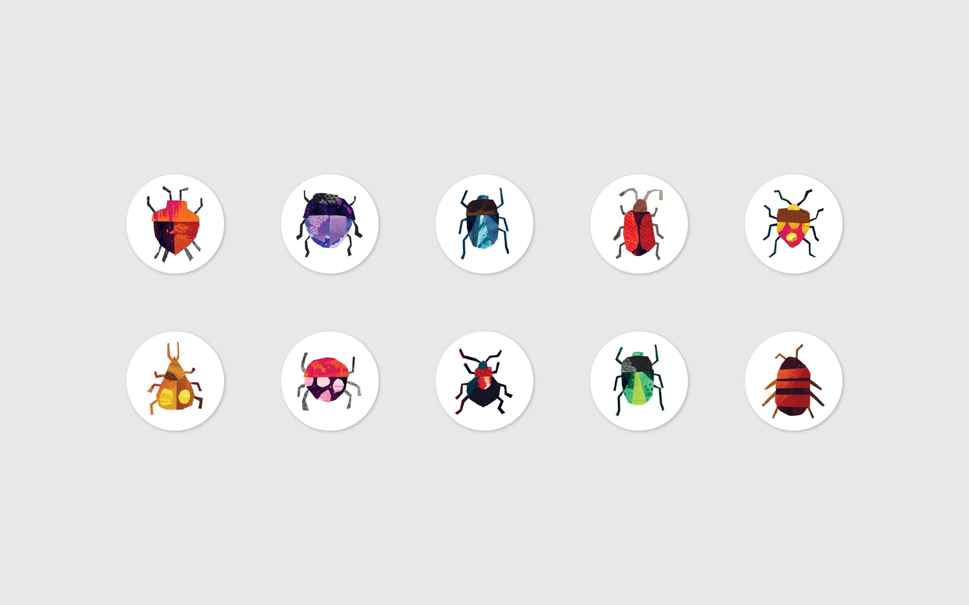 Hume-City-Council-Hume-Explorer-Illustration-Design-11