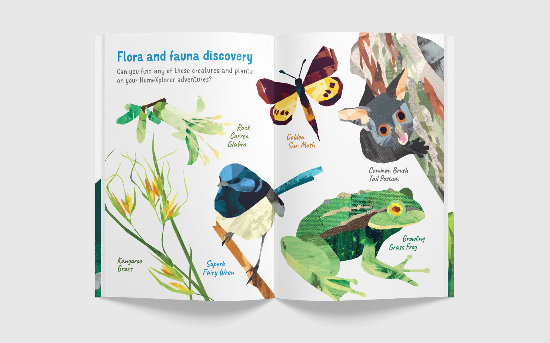 Hume-City-Council-Hume-Explorer-Brochure-Design-12