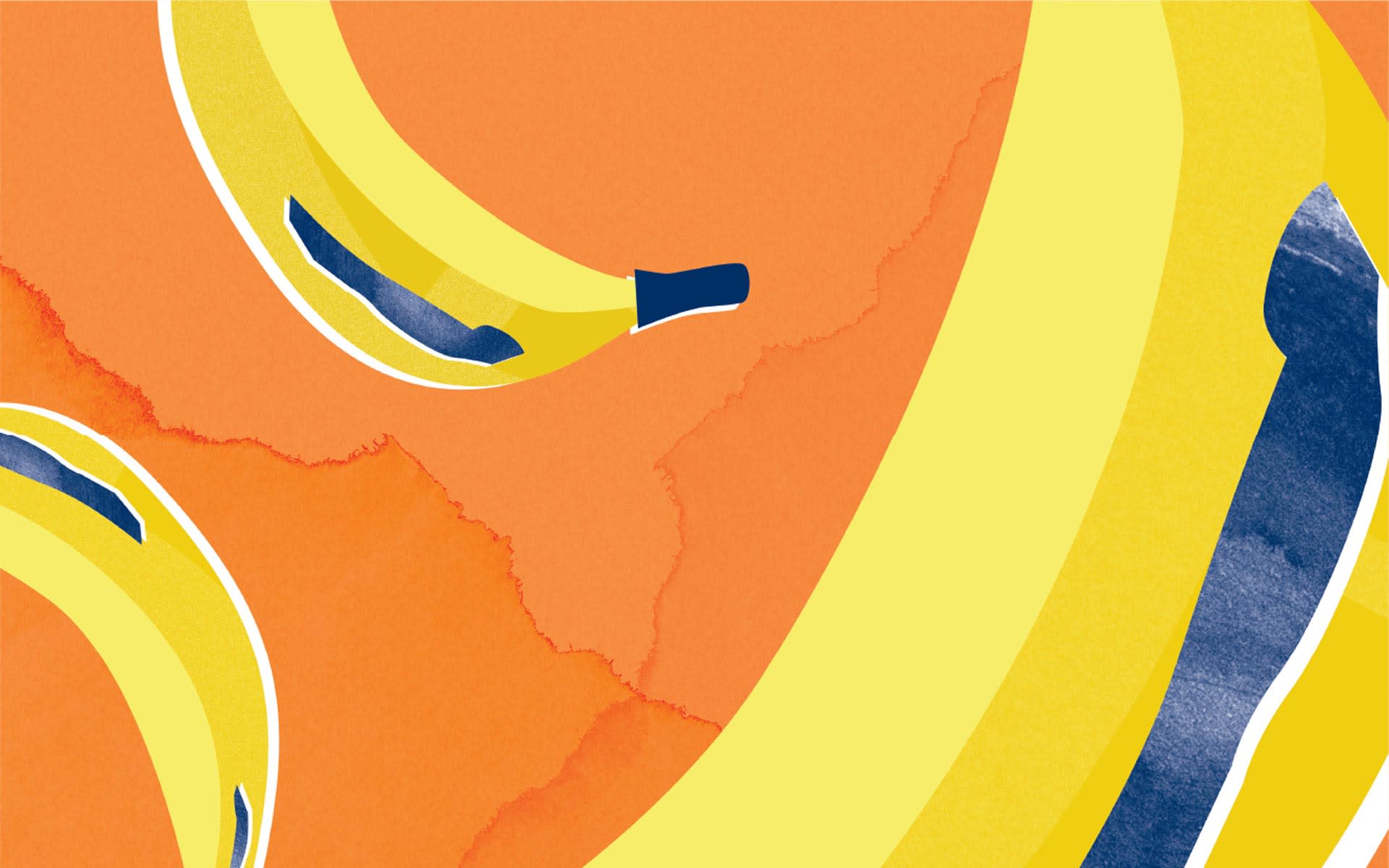 Moreland-City-Council-Design-and-Illustration