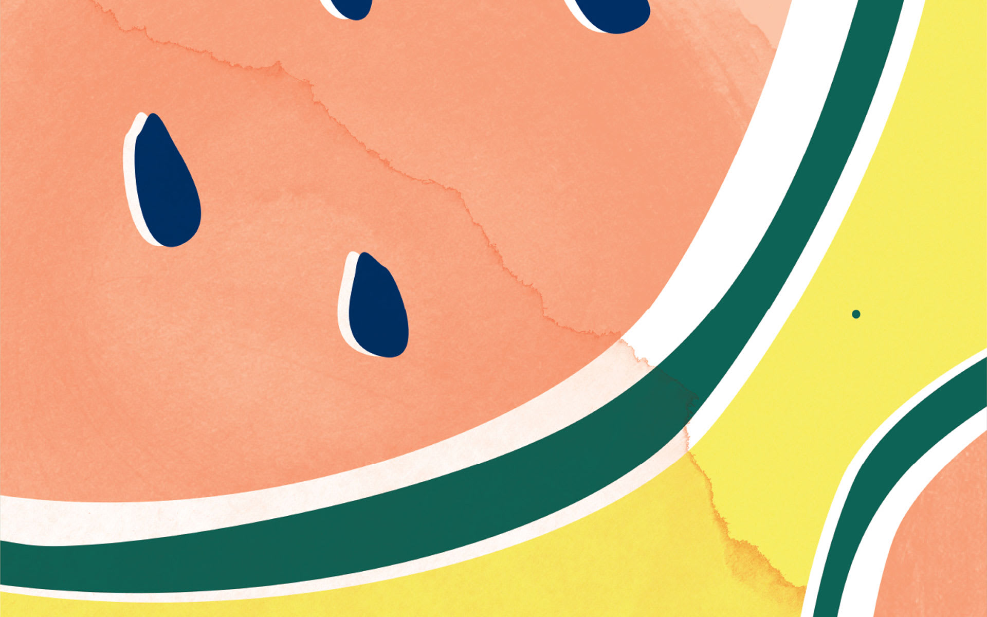 Moreland-City-Council-Design-and-Illustration