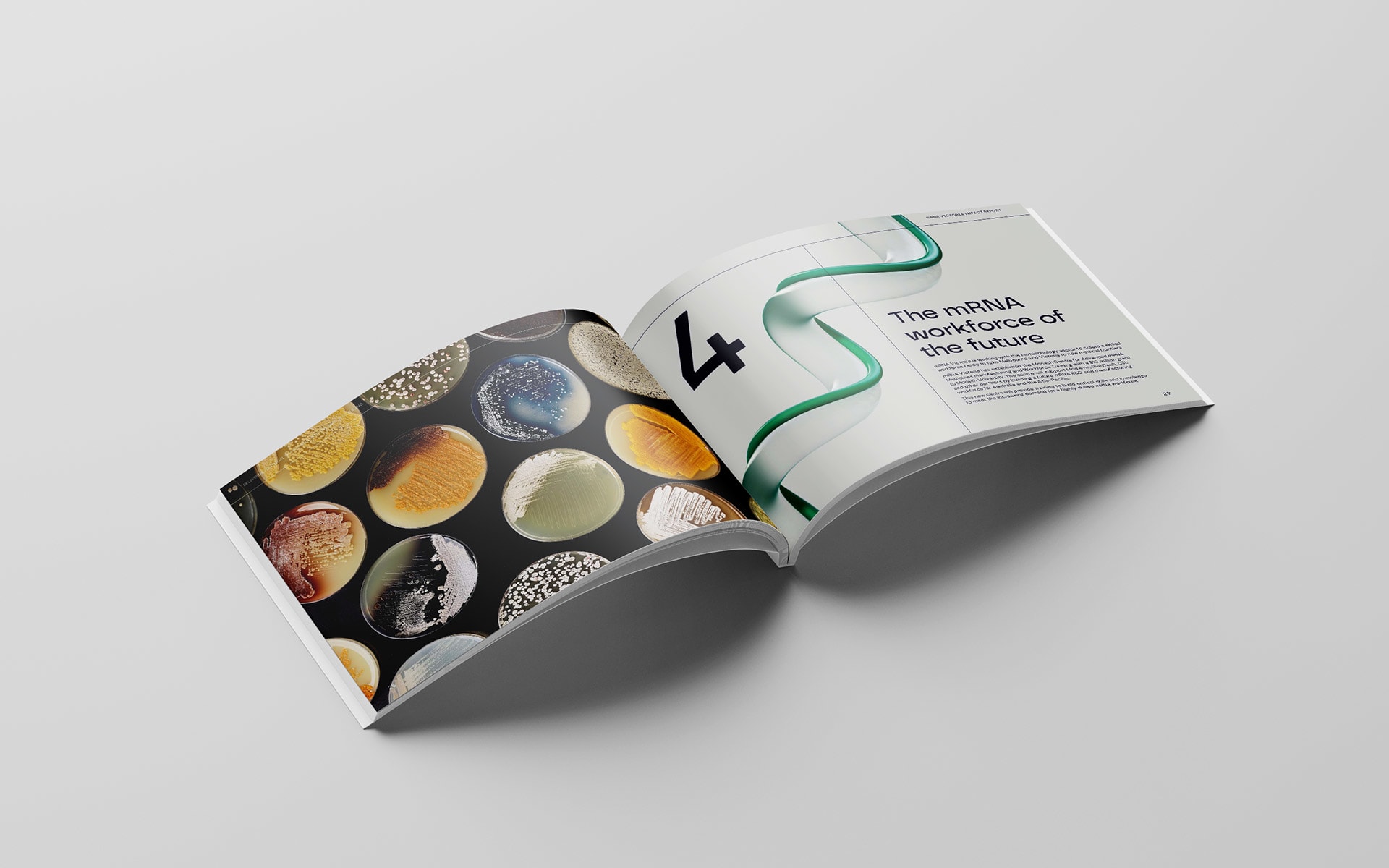 chapter-4-mRNA-Victoria-Impact-Report