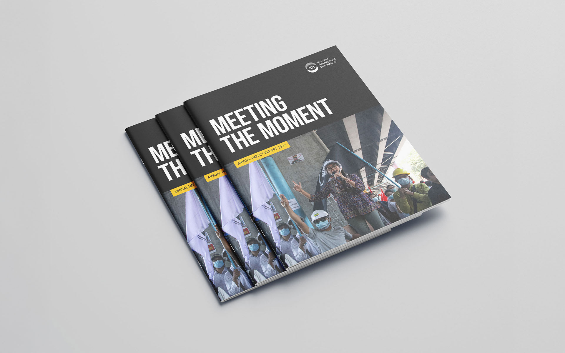 cover-Inclusive-Development-International