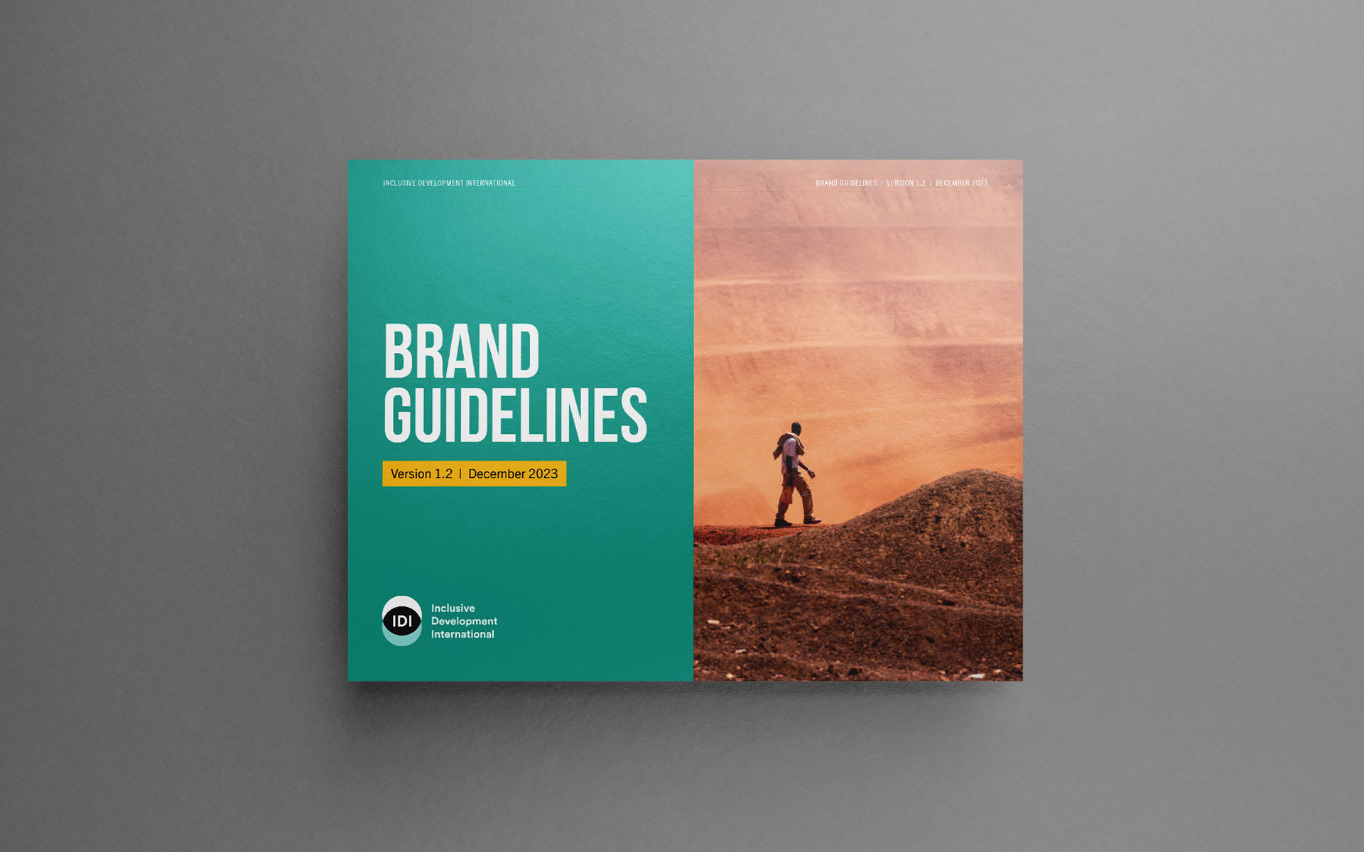 style-guide-Inclusive-Development-International