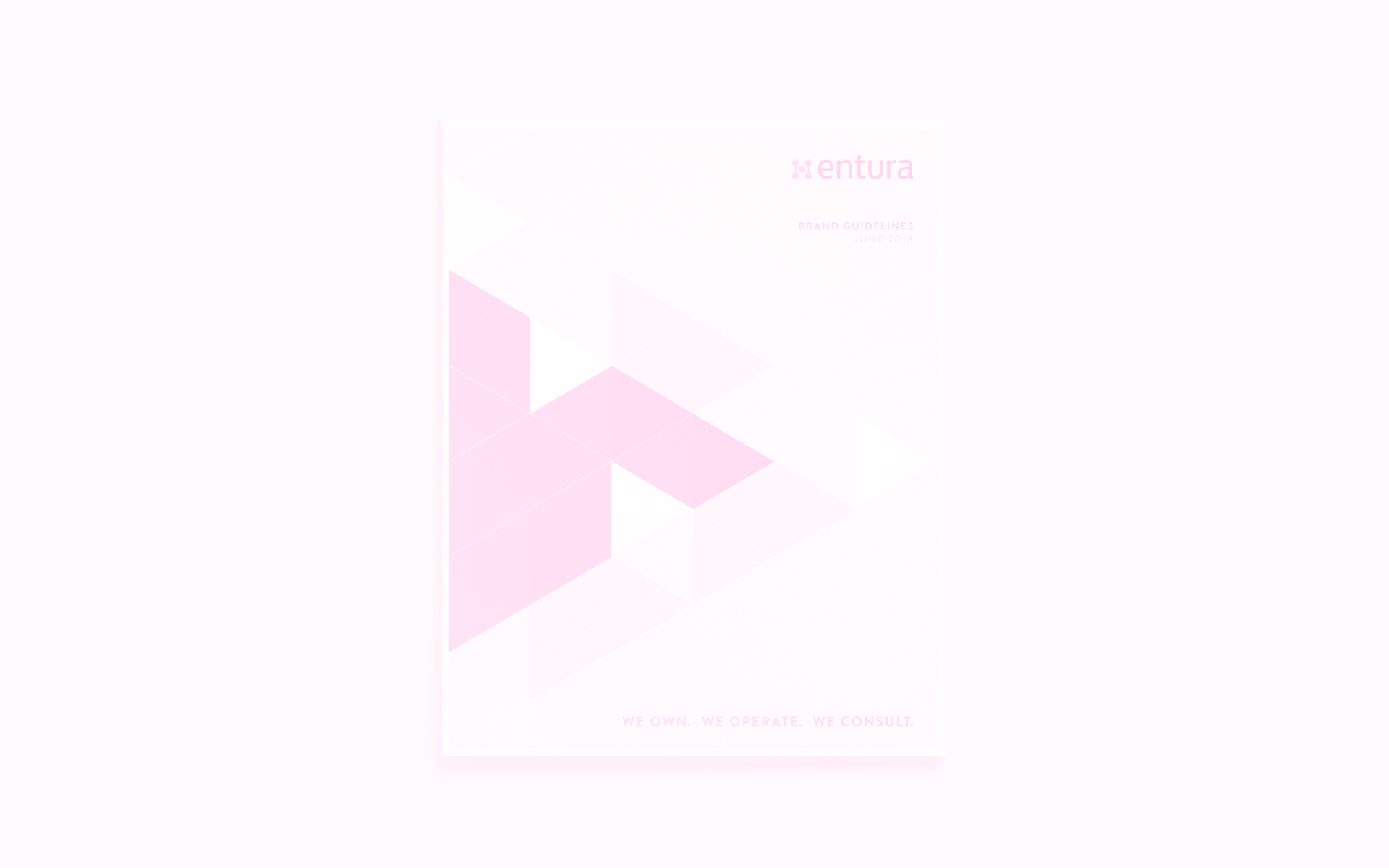 Entura-Brand-Refresh-Brochure-Design