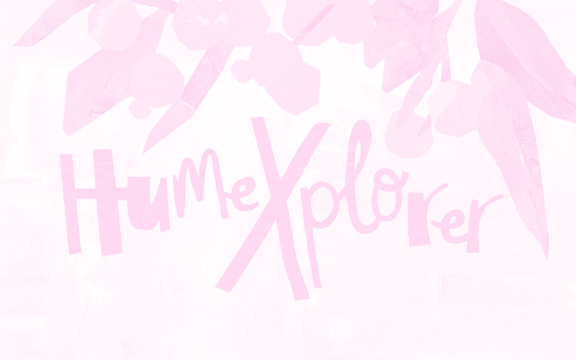 HumeXplorer Illustration and Design