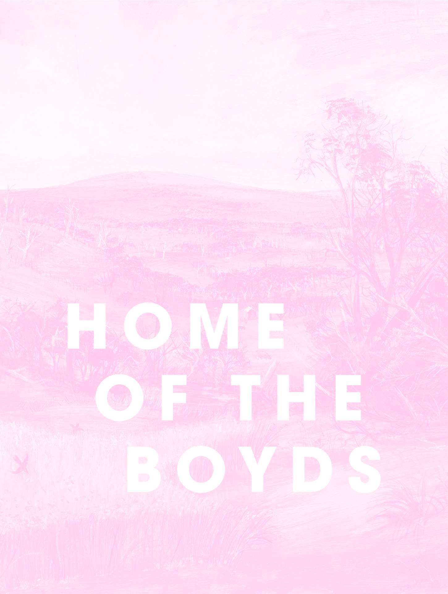 Home-of-the-Boyds-Campaign-Design