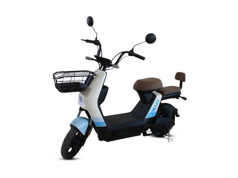 EV Smart