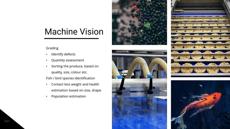 CDLT offers Computer Vision solutions for identifying defects in manufacturing processes, species identification, population estimation, sorting the agricultural produce