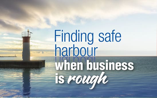 Finding safe harbours when business is rough Finding safe harbours when business is rough