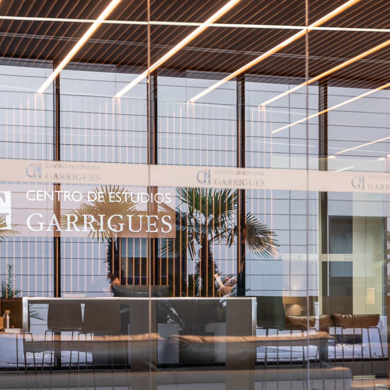 Máster en Derecho de las Transacciones Internacionales 