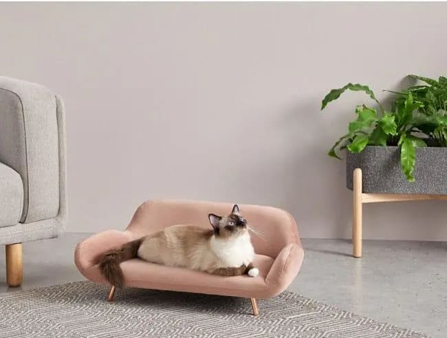 Atypical Handmade Classic Comfortable Pet Sofa Luxury Dog & Cat Bed, Stylish Pet Lounge for Small to Medium Pets