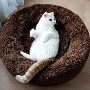 Cozy Comfortable Dog Bed Washable and Soft Mattress of Dog Bed for All Season Summer Winter Pet Bed