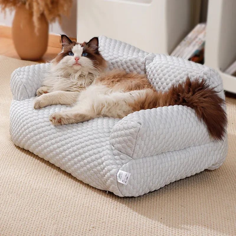 Kennel Luxury Teak Wood Cat Bed Plush Upholstered Designer Pet Sofa, Durable & Comfortable
