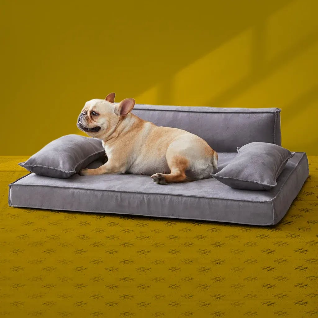 Orthopedic Dog Sofa in Teak Wood with Upholstery Luxury Designer Durable & Comfortable Pet Bed for Dogs