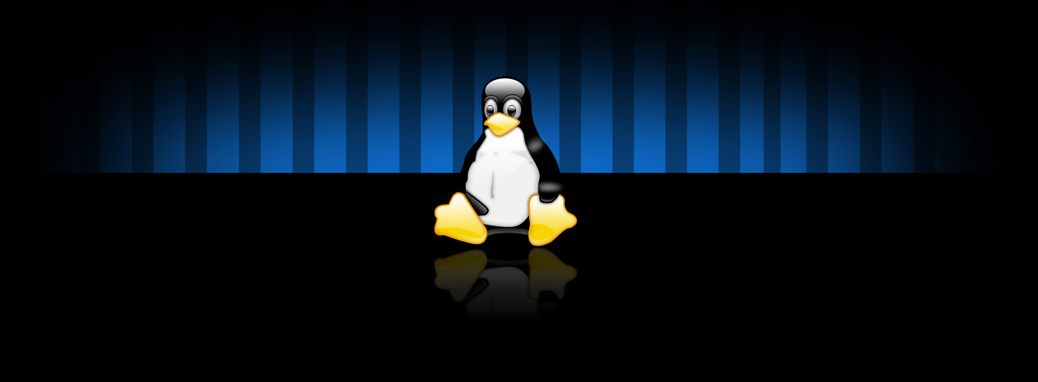 Catching the Linux Bug