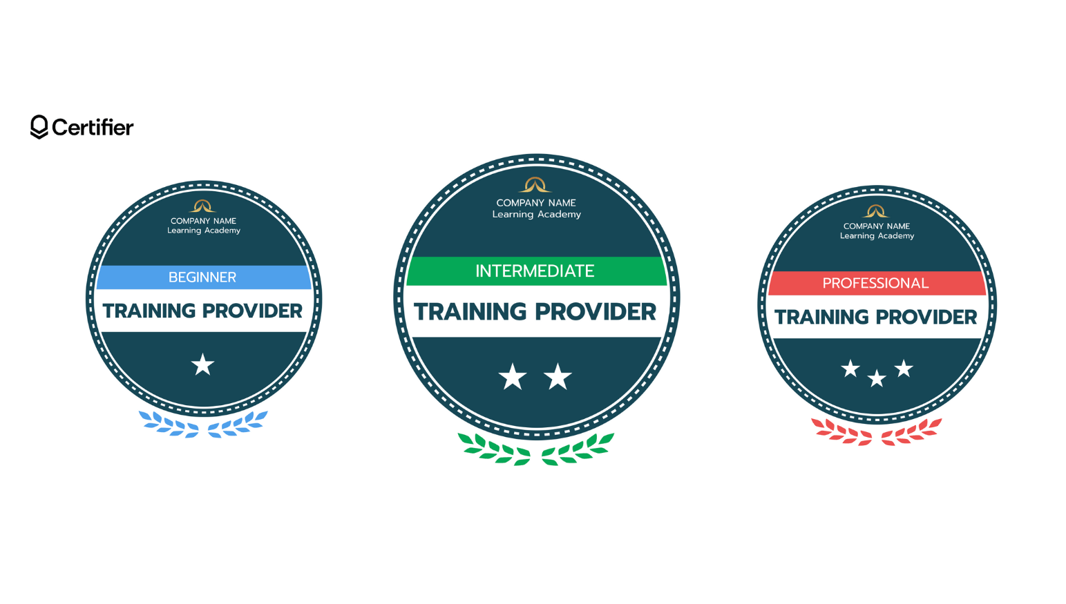 Leveled digital badges that helps to distinguish different learning stages. Leveled digital badges that helps to distinguish different learning stages.
