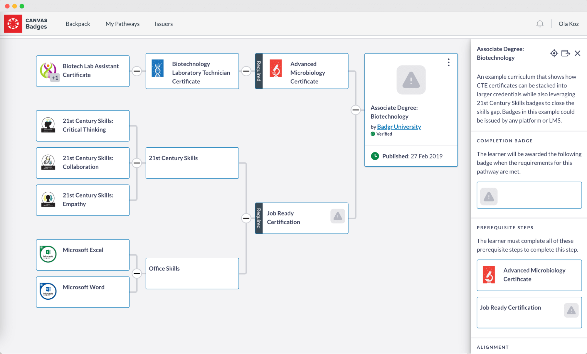A flowchart called Badgr Pathways in Badgr Canvas displaying the pathway for earning a badge. A flowchart called Badgr Pathways in Badgr Canvas displaying the pathway for earning a badge.