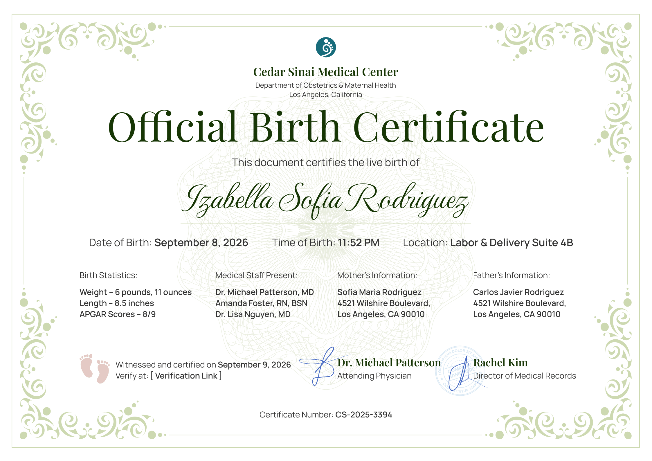 View of Professional and secure baby birth certificate template