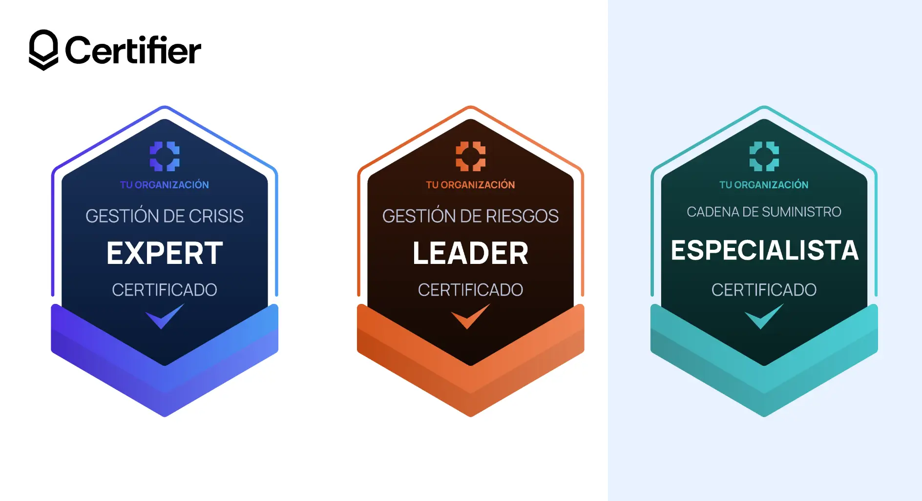 Diseño de muestra de insignia para especialistas en tres combinaciones de colores con cinta y espacio para logotipo. Diseño de muestra de insignia para especialistas en tres combinaciones de colores con cinta y espacio para logotipo.